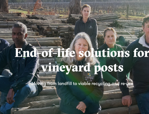 End-of-life solutions for vineyard posts